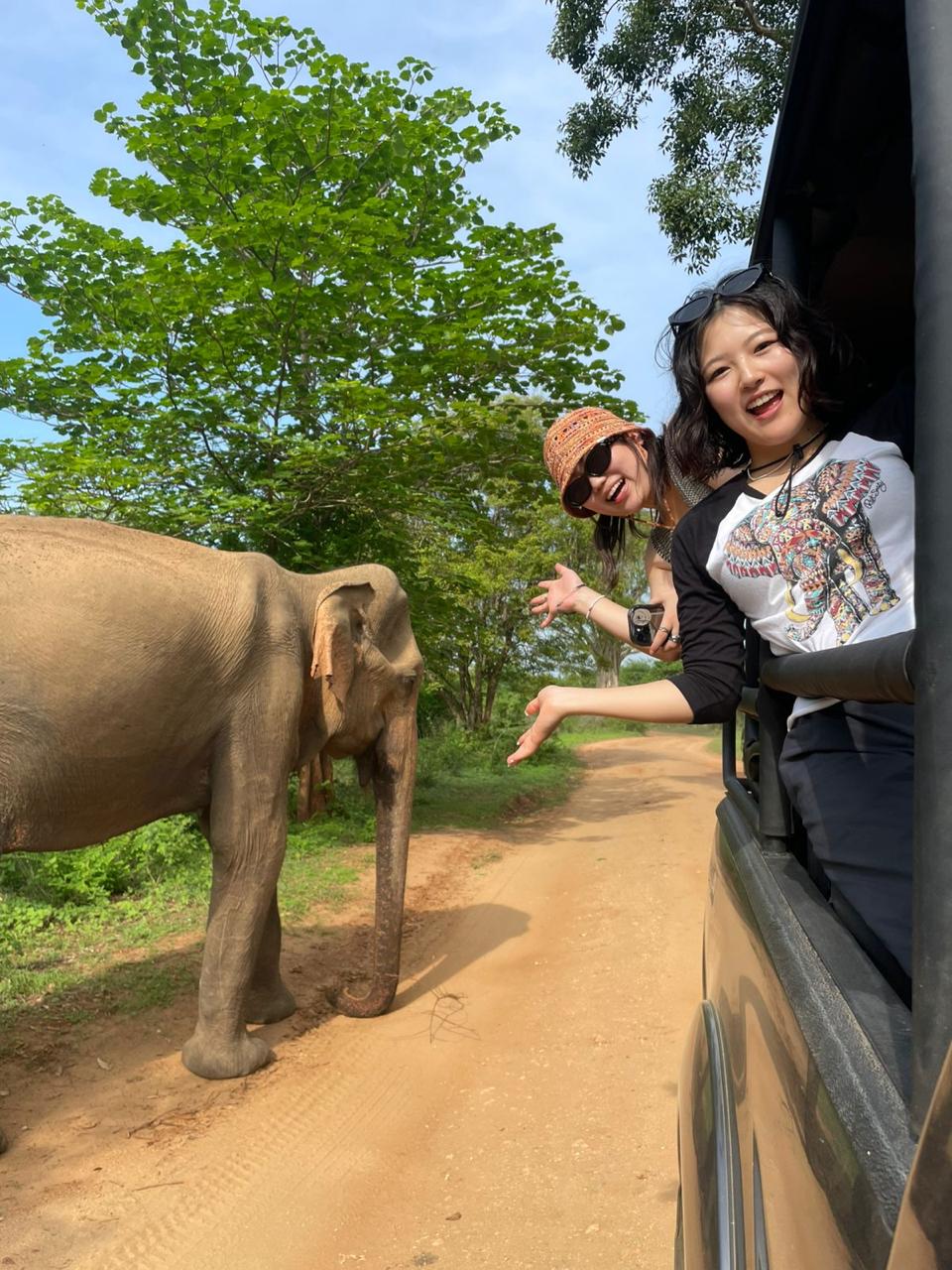 udawalawe safari - selfie with elephant