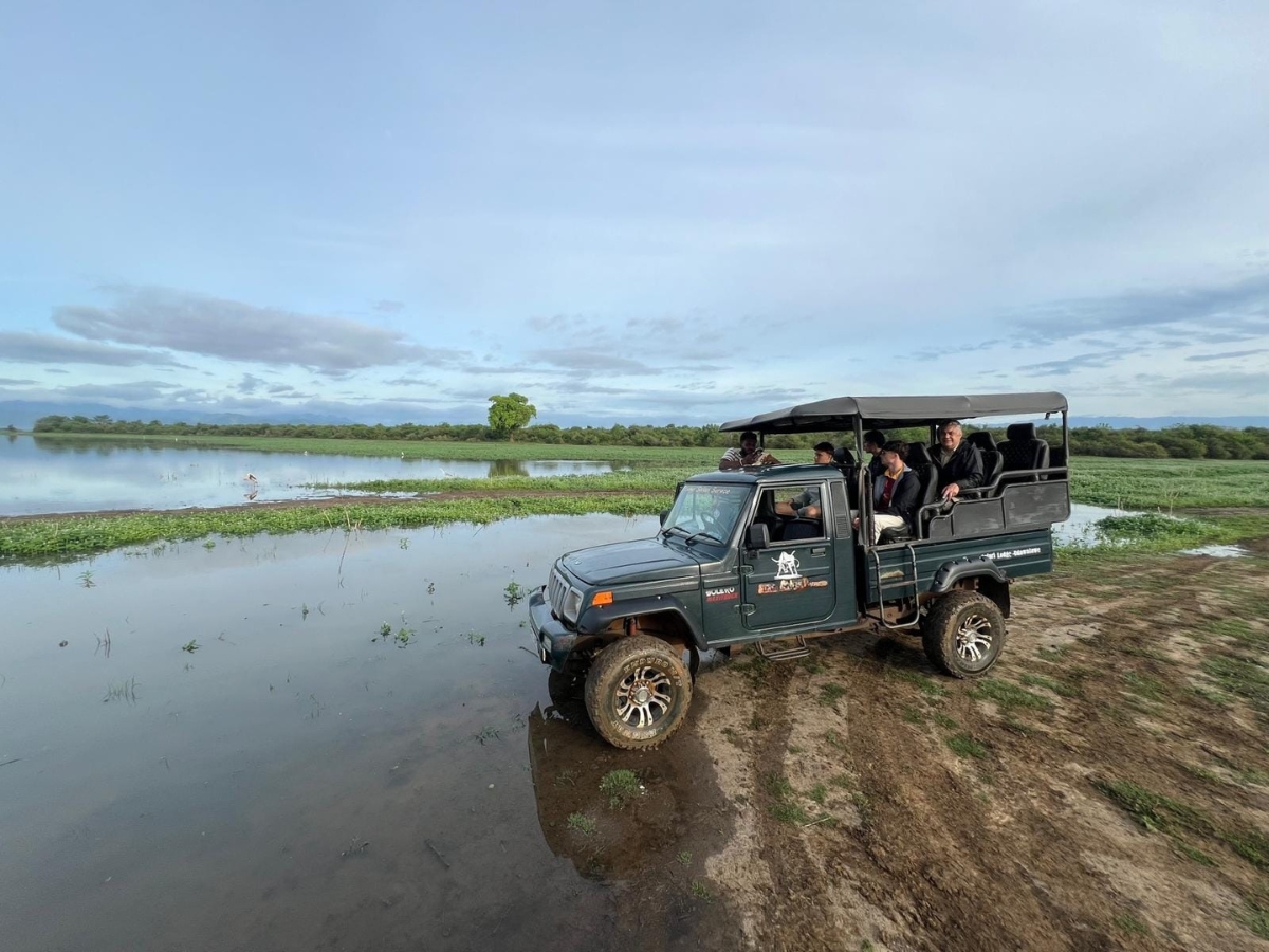 safari jeep in the udawalawe national park safari