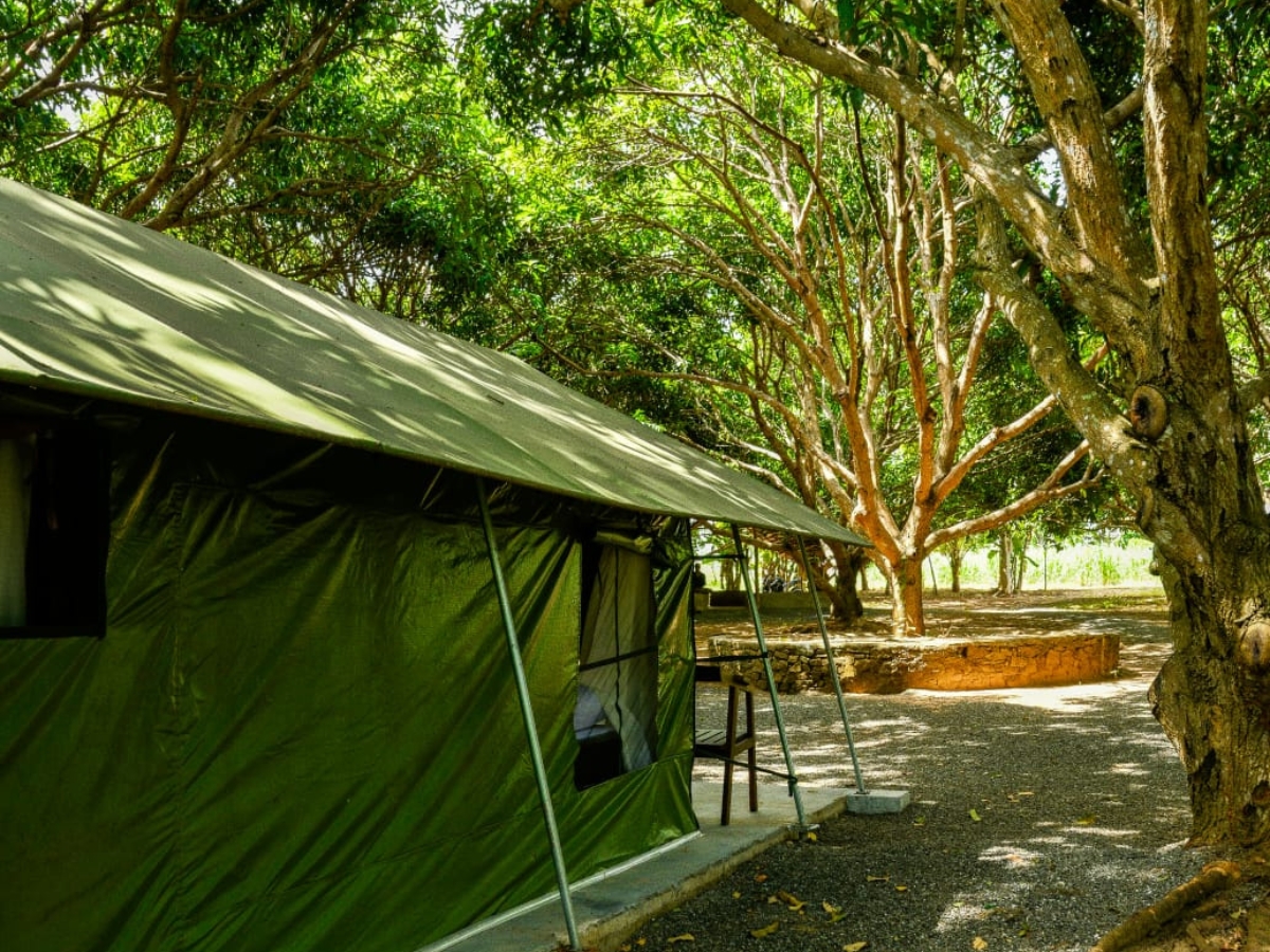 udawalawe jungle vibe cottage